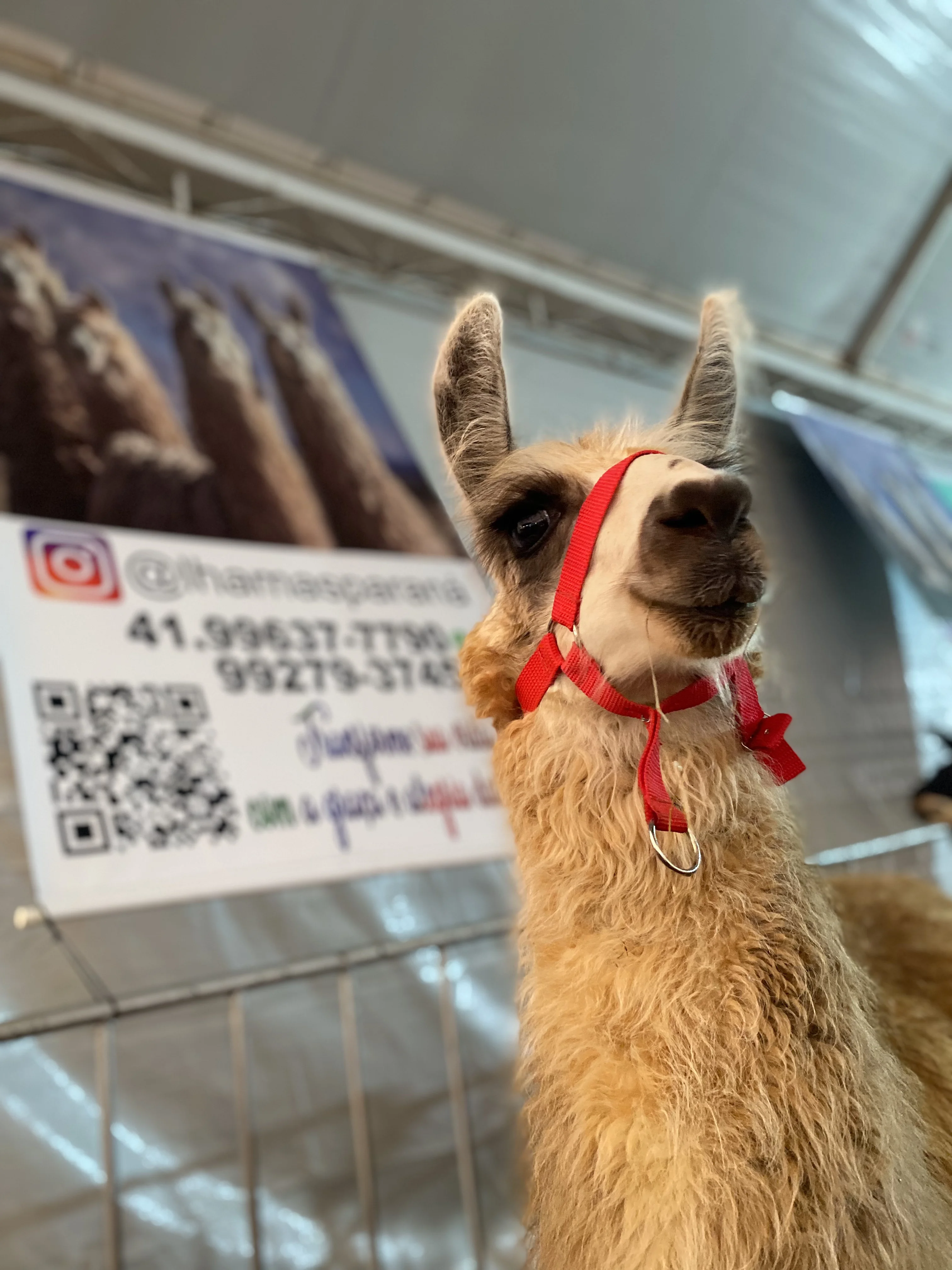 Eventos e Exposições